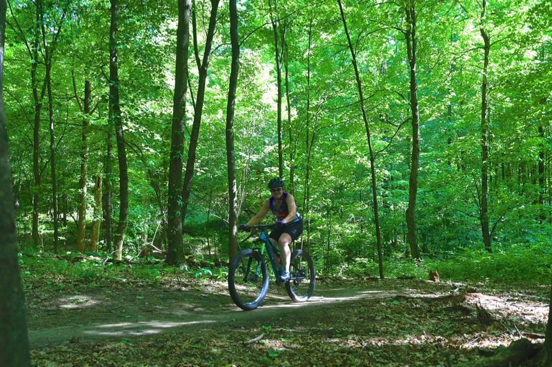 Luton Park Mountain Biking Trails